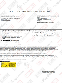 Disney Authorization Certificate